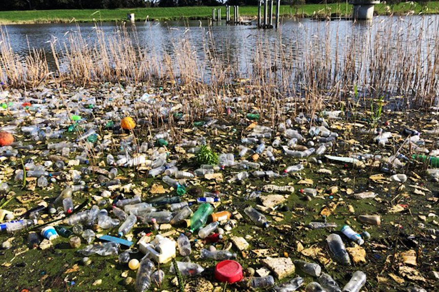 Litter